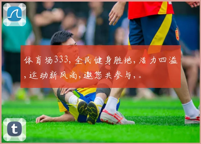 体育场333,全民健身胜地,活力四溢,运动新风尚,邀您共参与,。
