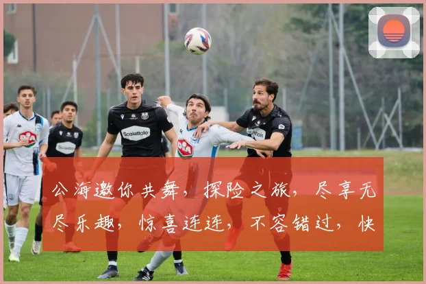 公海邀你共舞，探险之旅，尽享无尽乐趣，惊喜连连，不容错过，快来加入我们